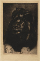 St G 331
<br/>
Leeuw
<br/>
<em>Bos, Gerard (1860-1943)</em>